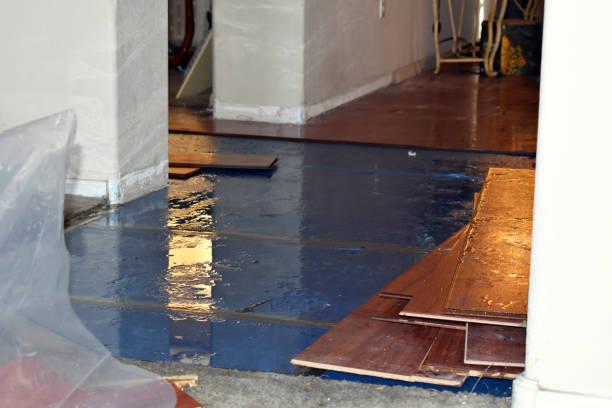 Professional Basement Flood Cleanup technician working in Harrisburg, MO